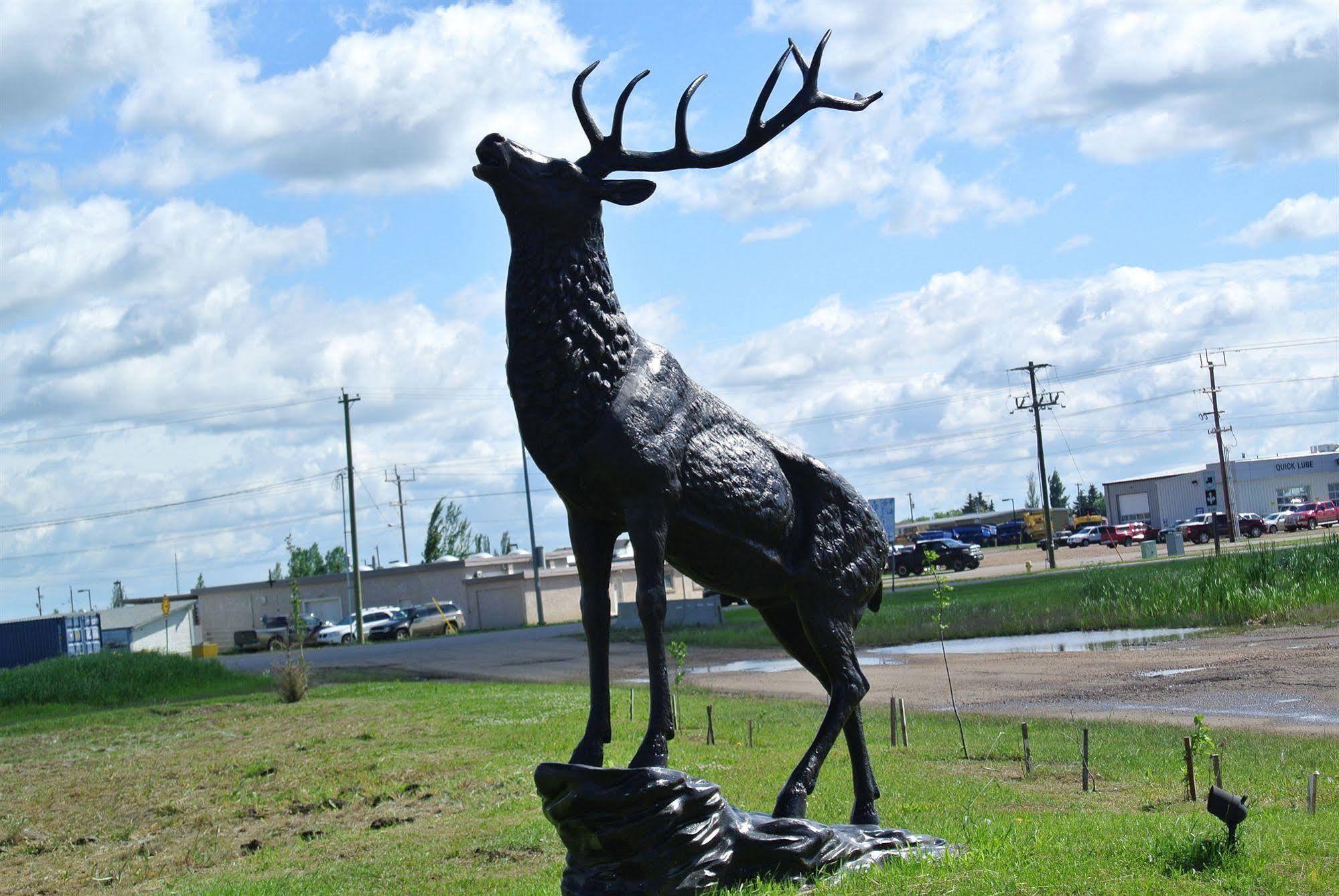 Vegreville Garden Inn Экстерьер фото